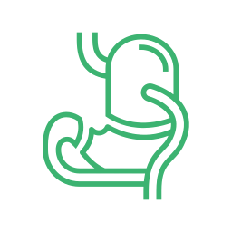 Bariatric Surgery Icon
