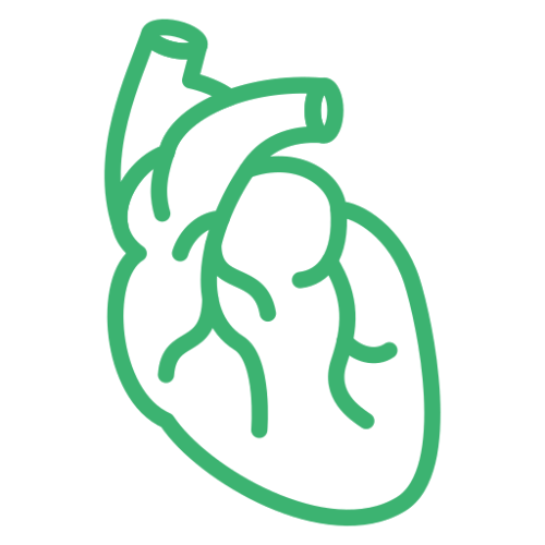 Heart Surgeries Icon
